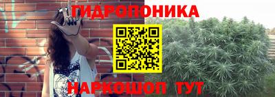 эйфоретик Заводоуковск