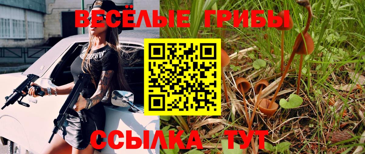 Кыштым  Галлюциногенные грибы Psilocybe  Вход с VPN  Галлюциногенные грибы Psilocybine cubensis 